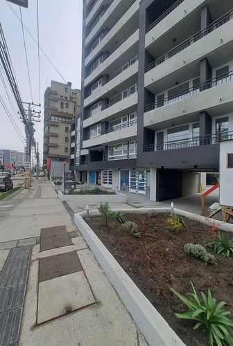 Nuevo, Frente A Ubb, Incluye Estac. Y Bodega (99812)