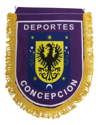  Banderín Deportes Concepción - Fúbol Chileno