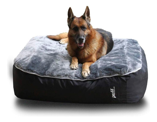 Puff Cama Para Perros Grande Durable Incluye Funda Lavable