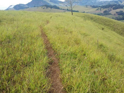 Imagem 20 de 29 de Fazenda De Gado Com 263 Hectares Itajuba - 36525