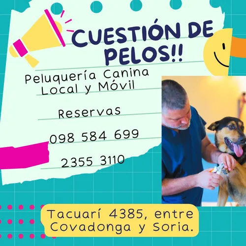 Peluquería Canina A Domicilio Y Local, Pensionado.