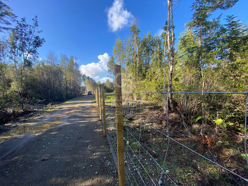 Hermosa Parcela Con Abundante Bosque Nativo