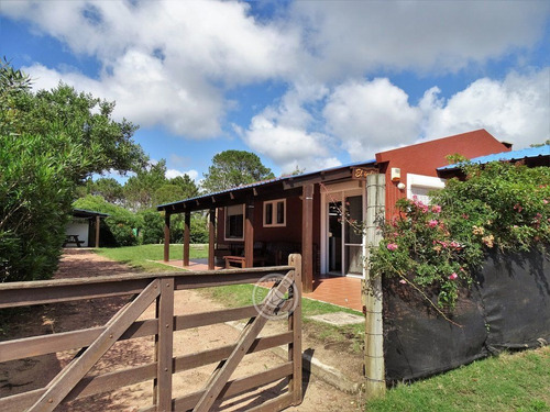 El Indio En Punta Del Diablo