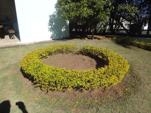 Chácara À Venda, 3300 M² Por R$ 1.200.000,00 - Horizonte Azul - Itupeva/sp - Ch0103