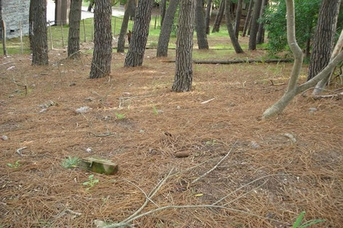 Imagen 2 de 3 de Lote Ubicado En Cull De Sacc Cuenta Con 450m2 Zonificaciòn Unifamiliar A 3 Cuadras Del Mar