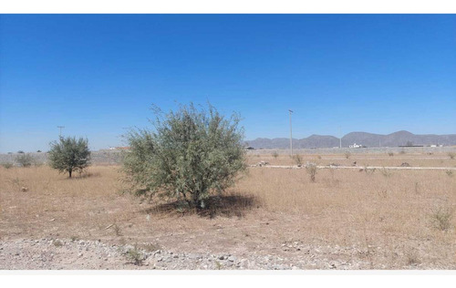 Terreno En Venta En Noria De Compuertas (el Ranchito)