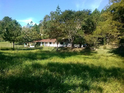 Imagem 12 de 30 de Sítio, Pra Quem Gosta Só Curtir, Pasto, Nascente, Lago, Córrego - V27