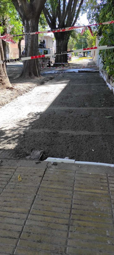 Imagen 7 de 10 de Podas En Altura Jardinería Paisajismo Diseño Mantenimiento