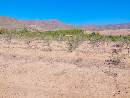 Parcela En La Calera Con Luz Y Agua (73487)