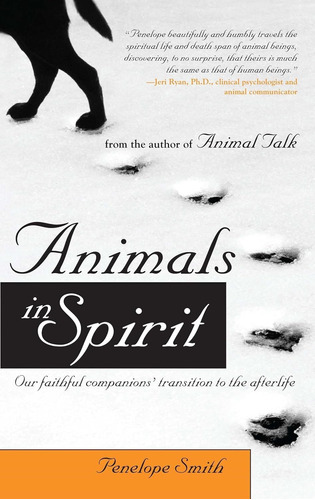Libro Animals In Spirit Our Faithful Companions