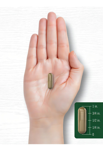 Suplemento en cápsulas de raíz de dique amarillo de Carlyle, 1500 mg, 200 unidades