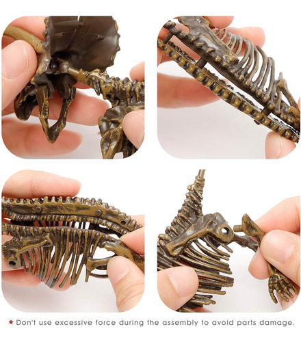 6 Pcs Skeletons De Dinosaurios, Juguetes De Dinosaurios De E