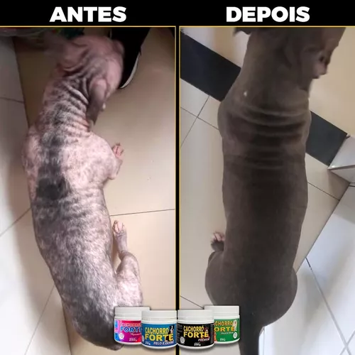 Suplemento Forte Cachorro Pet Pequenas Raças Mega Brother