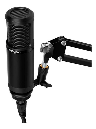Xlr Podcasting Microphone Au-pm320