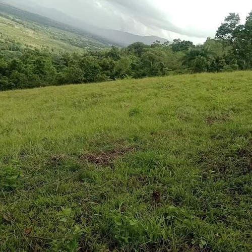 Se Vende Finca Ganadera En Bonao