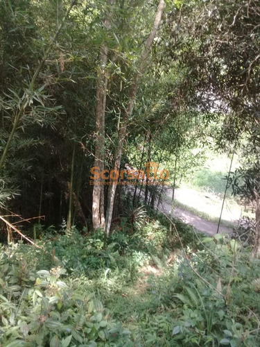 Imagem 11 de 11 de Casa À Venda, Potuverá, Itapecerica Da Serra - 823