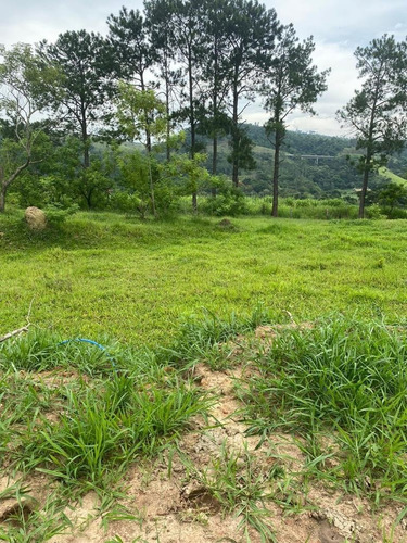 Imagem 25 de 30 de M03- Lotes A Venda