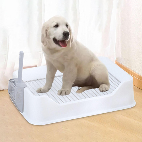 Inodoro Para Perros Y Mascotas, Bandeja De Adiestramiento
