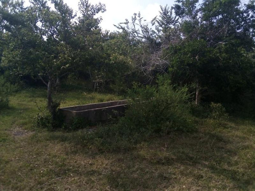 Venta Rancho Ganadero 100 Hectáreas Tamiahua Veracruz