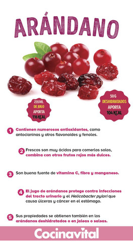 Arándano Deshidratado Natural Sin Conservadores Ni Azúcar