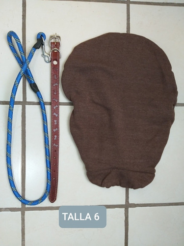 Paquete De Correa, Collar Y Sweater Para Perro Talla 6.