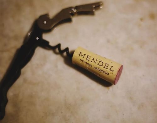 Imagen 4 de 5 de Vino Mendel Malbec 750ml X6