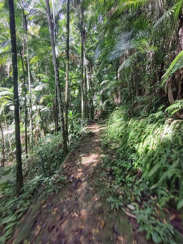 Imagem 5 de 28 de Chácara Santa Maria Das Flores!!!ótima Localização, Próximo Ao Centro Histórico De Morretes - R1508
