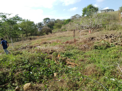 Se Vende Terreno 11m X 25m En Daular