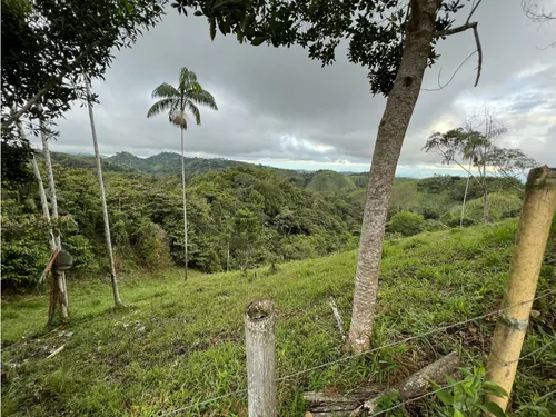 Venta De Finca En Vereda Paramillo, Fresno, Tolima