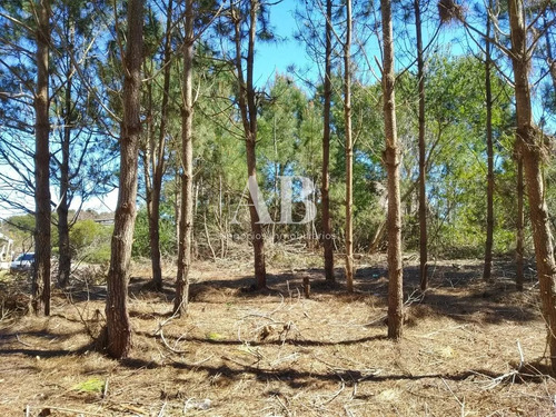 Terreno Zona Parque Público A Metros De Playa Grande - Mza 49