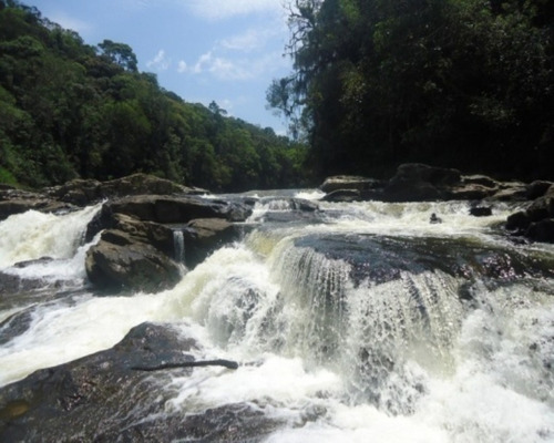 Imagem 13 de 20 de Terreno À Venda Em Juquitiba; - 293 - 32982829
