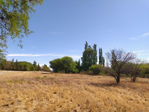 Imagen 1 de 3 de Excelente Campo Céntrico En Luján