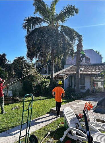 Poda De Arboles Tala Extracciones Escalador Con Seguro Gasto