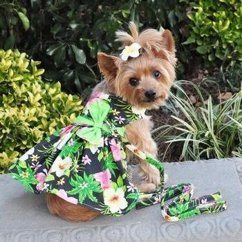 Doggie Vestido Para Perro Con Hibisco Hawaiano Negro Con Cor
