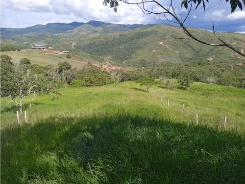 Venta Finca De 86.400m2 En Restrepo, Sector Monterredondo Alto 7301.