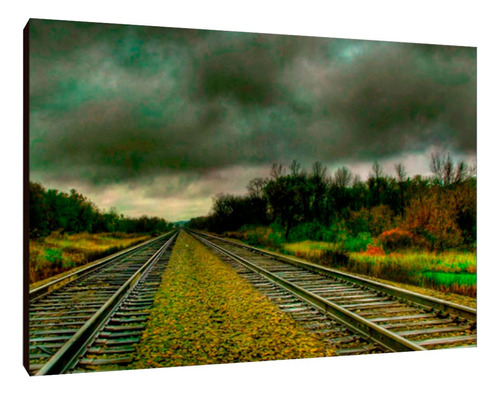 Cuadros Poster Trenes Vias L 29x41 (tnes (30))