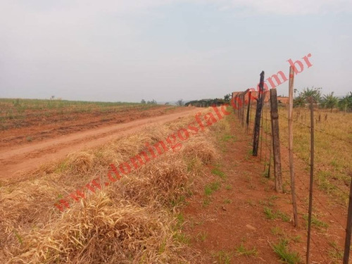 Imagem 8 de 19 de Venda - Chácara - Colina Santa Izabel (tupi) - Piracicaba - Sp - D0440