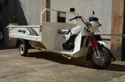 Triciclo De Carga 300cc Nafta Scooter De Trabajo Gaf Okm V