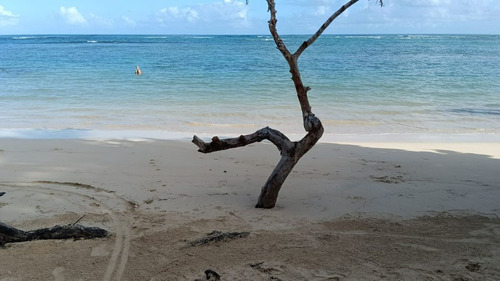 Terreno En Playa Portillo, Las Terrenas, Ideal Para Desarrol