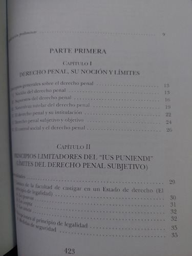 Derecho Penal Parte General Tomo I Mario Garrido