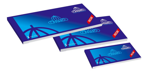 Recibo Mediano 22,8x9,5cm 40 Hojas Congreso (x10 Unid.)