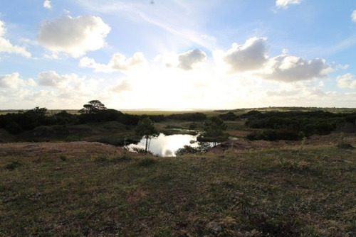 Quinta En Venta En Jose Ignacio
