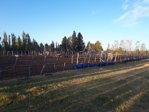 Imagen 15 de 17 de Vendo Campo De 300ha, San Rafael, Mendoza