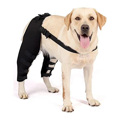 Tirantes Soportes Patas Traseras Perro Con Apoyo Large Negro