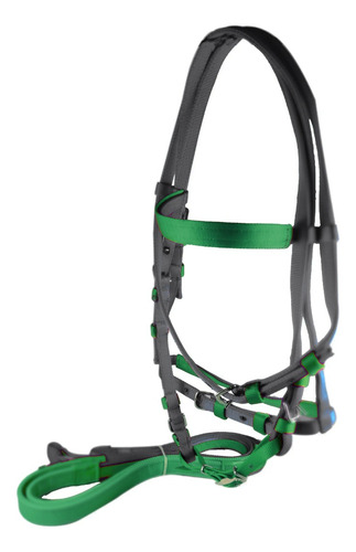 Brida, Rienda 2 Accesorios Para Caballo 