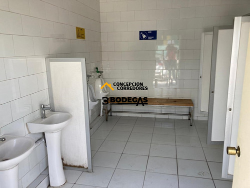 Arriendo Bodega De 777 M2 En Pi De San Bernardo.