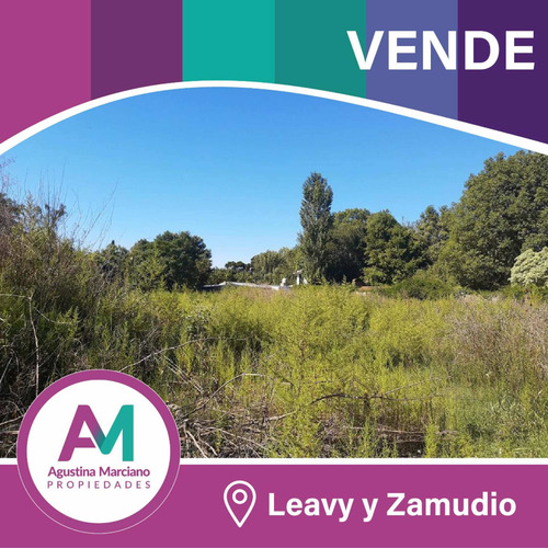 Imagen 2 de 5 de Lotes En Venta! 1000 M2