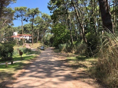 Imagen 6 de 8 de Exclusivo Lote Sobre Av Divisadero Carilo