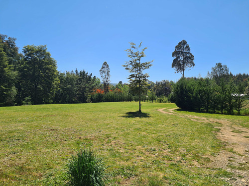 Parcela Sector Pancul (80144)