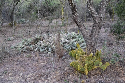 Imagen 18 de 20 de Campo En Las Calles Con Luz Agua Y Alambrado